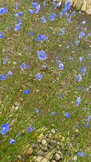 180(W)×320(H) 56.87