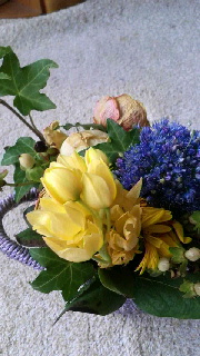 180(W)×320(H) 41.09