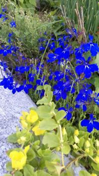 197(W)×350(H) 21.44