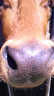 180(W)×320(H) 36.95