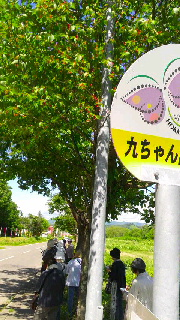 180(W)×320(H) 56.66