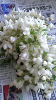 180(W)×320(H) 35.93