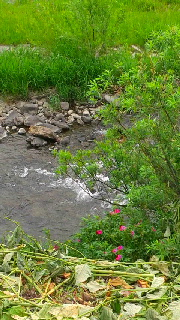 180(W)×320(H) 52.66