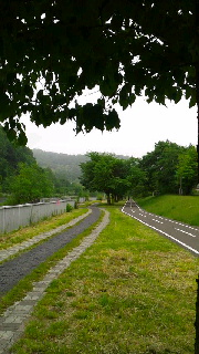 180(W)×320(H) 41.42