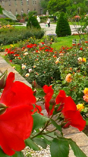 180(W)×320(H) 51.02