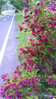 180(W)×320(H) 57.46