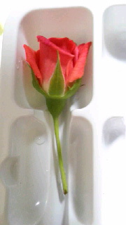 180(W)×320(H) 19.44