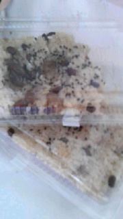 180(W)×320(H) 22.98