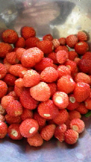 180(W)×320(H) 40.74