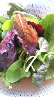 180(W)×320(H) 41.16