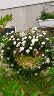 180(W)×320(H) 45.62