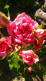 180(W)×320(H) 49.67