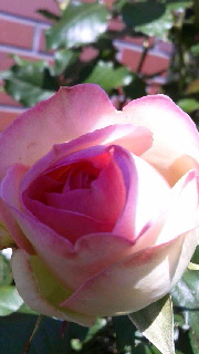 180(W)×320(H) 30.27