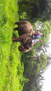 180(W)×320(H) 51.45