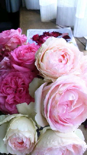 180(W)×320(H) 38.33