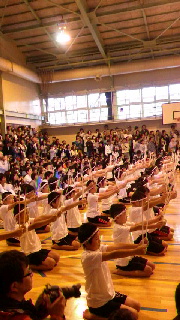 180(W)×320(H) 48.32