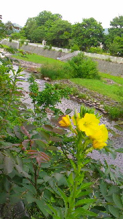 180(W)×320(H) 47.87