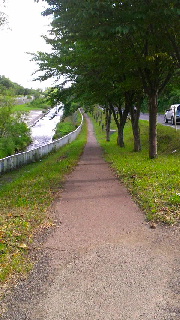 180(W)×320(H) 42.41