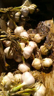 180(W)×320(H) 46.95