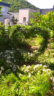 180(W)×320(H) 61.01