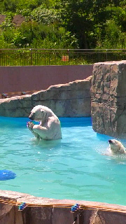 180(W)×320(H) 39.67