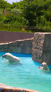 180(W)×320(H) 39.88