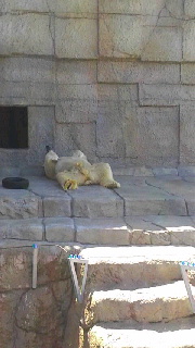 180(W)×320(H) 32.15