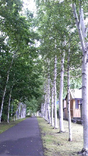 180(W)×320(H) 49.15