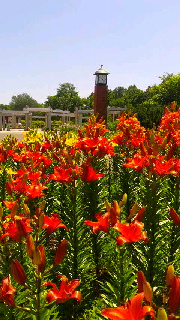 180(W)×320(H) 53.09