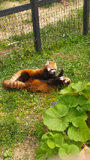 180(W)×320(H) 53.71