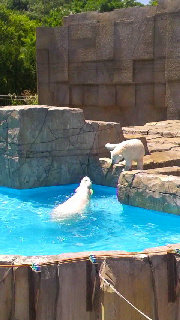 180(W)×320(H) 38.12