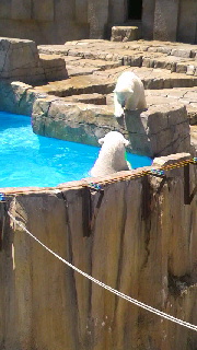 180(W)×320(H) 37.66