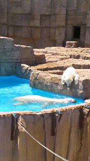 180(W)×320(H) 36.84