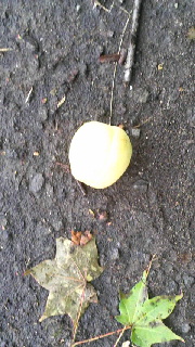 180(W)×320(H) 45.08