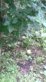 180(W)×320(H) 43.98