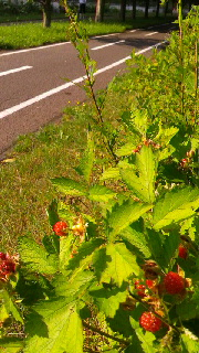 180(W)×320(H) 54.32