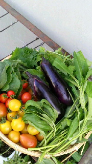 180(W)×320(H) 42.67