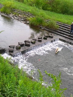 240(W)×320(H) 52.97