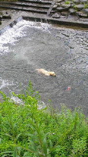 180(W)×320(H) 47.12