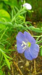 180(W)×320(H) 36.23