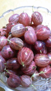 180(W)×320(H) 37.51