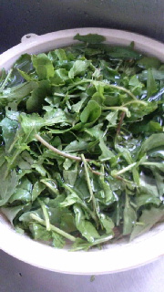 180(W)×320(H) 38.85