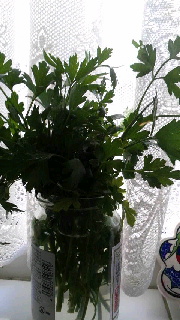 180(W)×320(H) 39.66