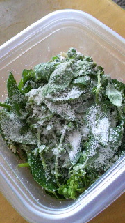 180(W)×320(H) 42.29