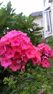 180(W)×320(H) 42.15