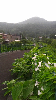 180(W)×320(H) 33.17