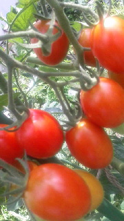 180(W)×320(H) 35.41