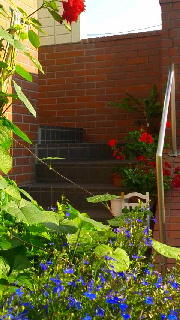 180(W)×320(H) 48.51