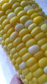 180(W)×320(H) 32.07