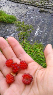 180(W)×320(H) 37.42